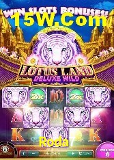 Recursos de Bônus Roda7